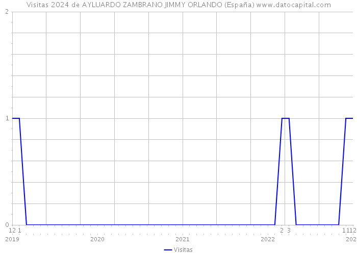 Visitas 2024 de AYLUARDO ZAMBRANO JIMMY ORLANDO (España) 