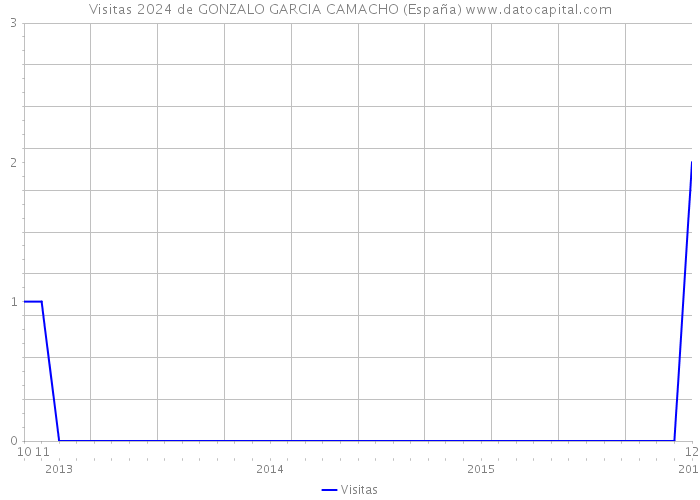 Visitas 2024 de GONZALO GARCIA CAMACHO (España) 