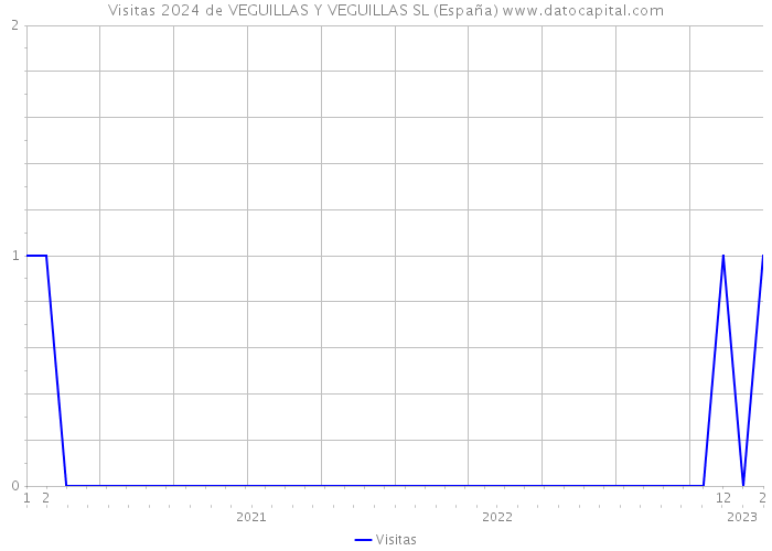 Visitas 2024 de VEGUILLAS Y VEGUILLAS SL (España) 
