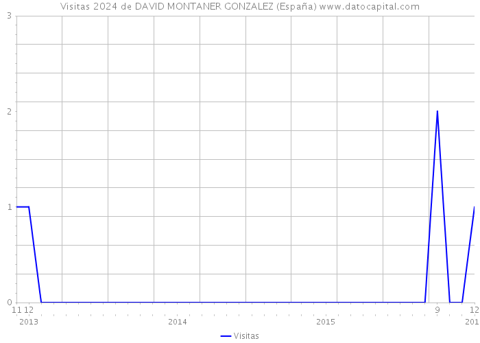 Visitas 2024 de DAVID MONTANER GONZALEZ (España) 