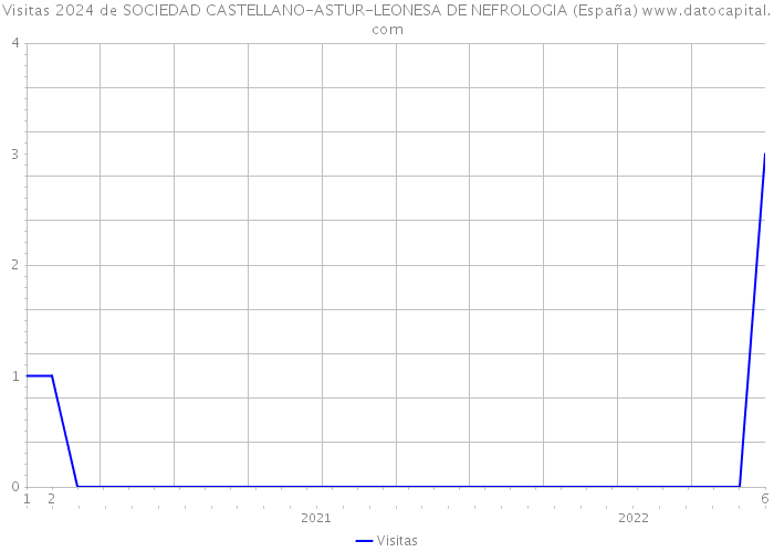 Visitas 2024 de SOCIEDAD CASTELLANO-ASTUR-LEONESA DE NEFROLOGIA (España) 