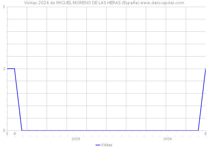 Visitas 2024 de MIGUEL MORENO DE LAS HERAS (España) 