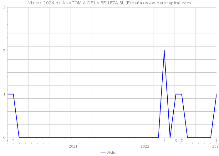 Visitas 2024 de ANATOMIA DE LA BELLEZA SL (España) 
