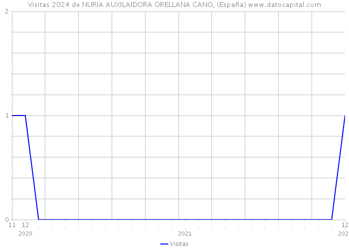 Visitas 2024 de NURIA AUXILAIDORA ORELLANA CANO, (España) 
