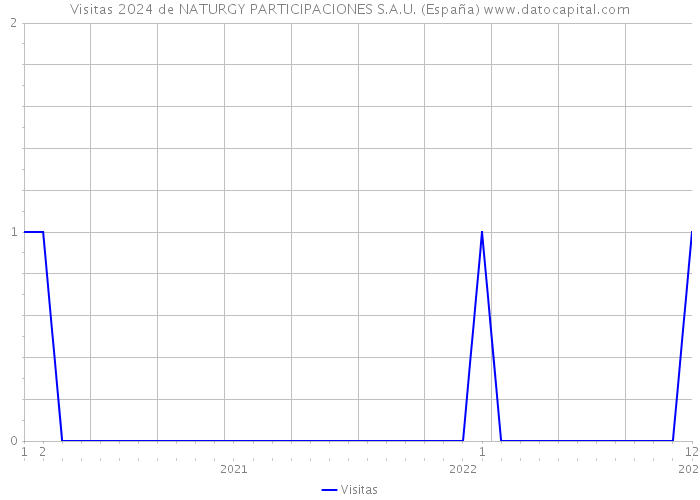 Visitas 2024 de NATURGY PARTICIPACIONES S.A.U. (España) 