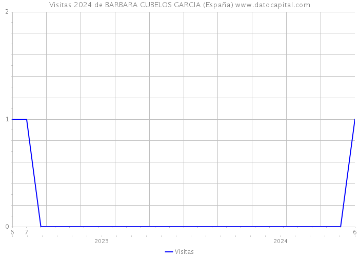 Visitas 2024 de BARBARA CUBELOS GARCIA (España) 
