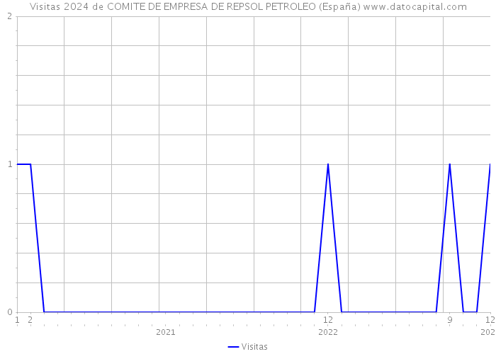 Visitas 2024 de COMITE DE EMPRESA DE REPSOL PETROLEO (España) 