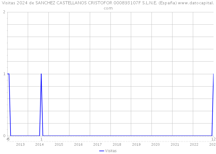 Visitas 2024 de SANCHEZ CASTELLANOS CRISTOFOR 000893107F S.L.N.E. (España) 