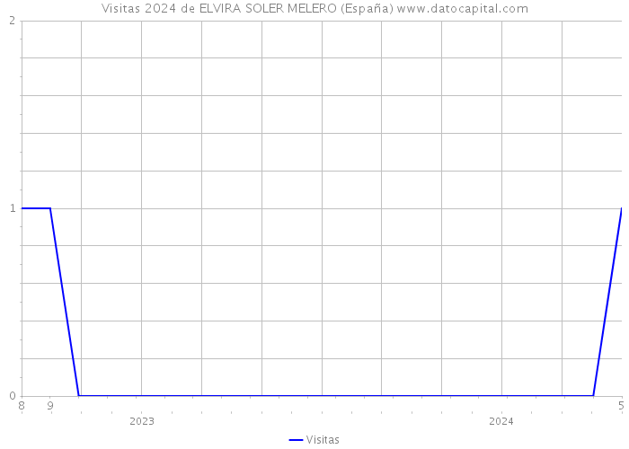 Visitas 2024 de ELVIRA SOLER MELERO (España) 
