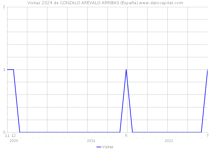 Visitas 2024 de GONZALO AREVALO ARRIBAS (España) 