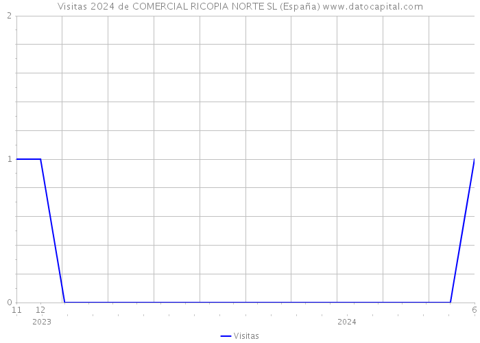 Visitas 2024 de COMERCIAL RICOPIA NORTE SL (España) 