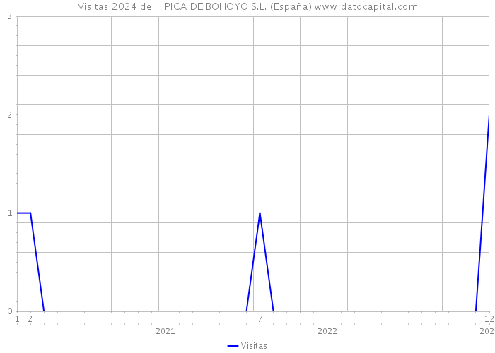 Visitas 2024 de HIPICA DE BOHOYO S.L. (España) 