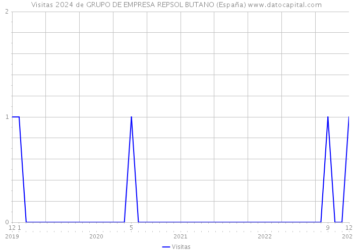 Visitas 2024 de GRUPO DE EMPRESA REPSOL BUTANO (España) 