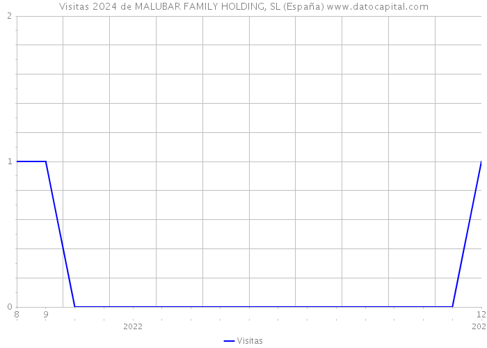 Visitas 2024 de MALUBAR FAMILY HOLDING, SL (España) 