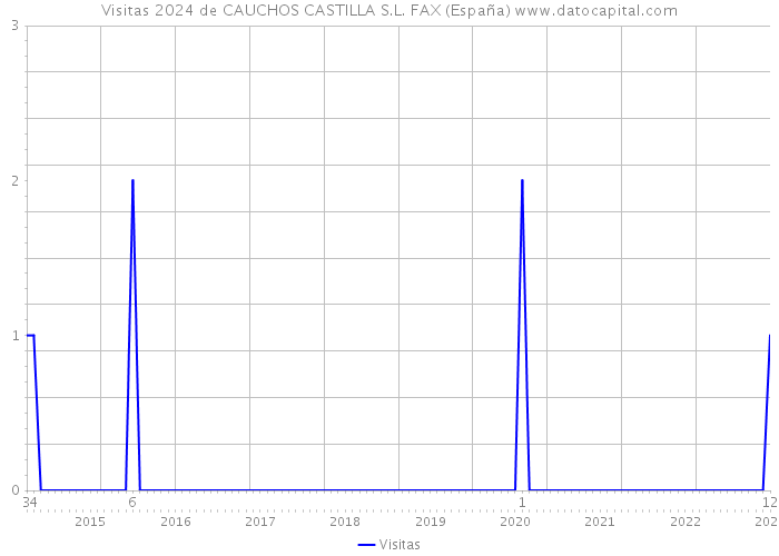 Visitas 2024 de CAUCHOS CASTILLA S.L. FAX (España) 