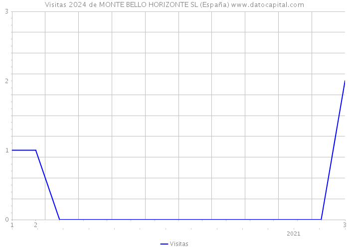 Visitas 2024 de MONTE BELLO HORIZONTE SL (España) 