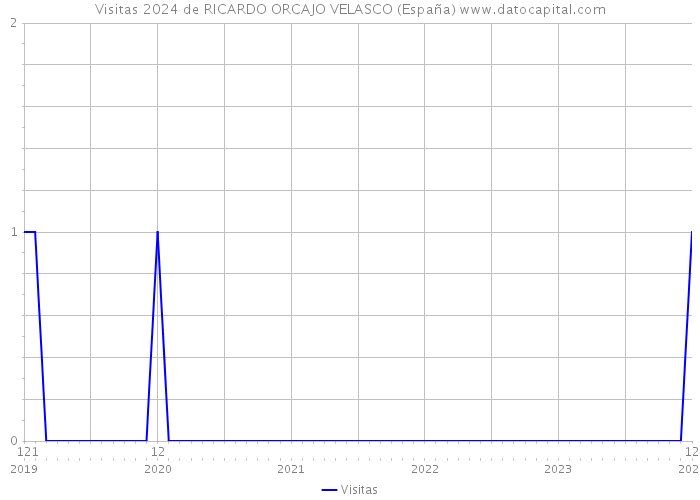 Visitas 2024 de RICARDO ORCAJO VELASCO (España) 
