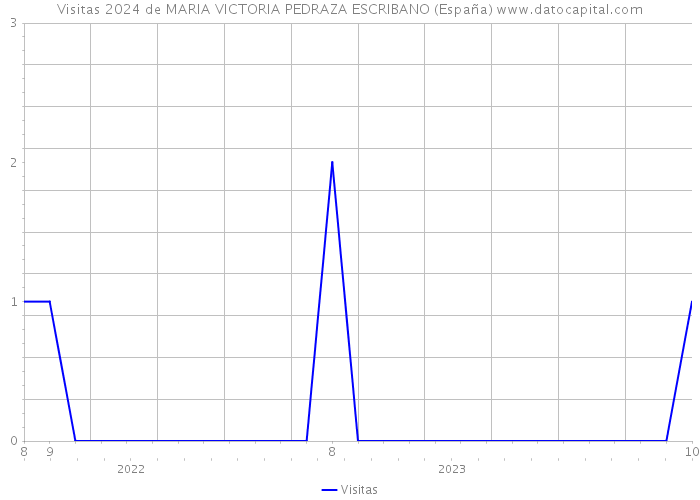 Visitas 2024 de MARIA VICTORIA PEDRAZA ESCRIBANO (España) 