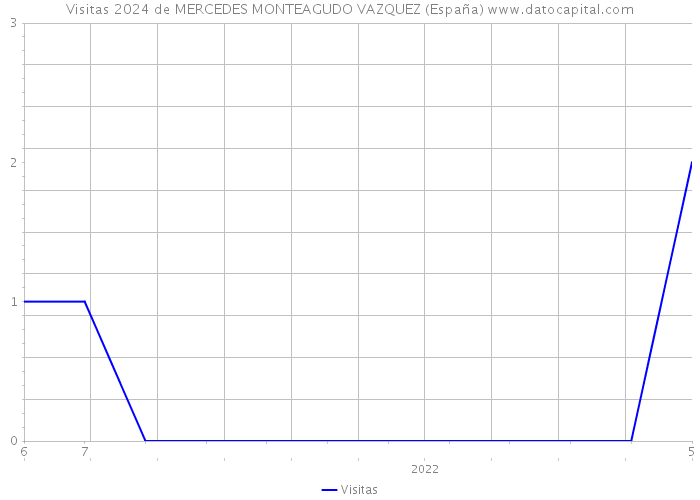 Visitas 2024 de MERCEDES MONTEAGUDO VAZQUEZ (España) 