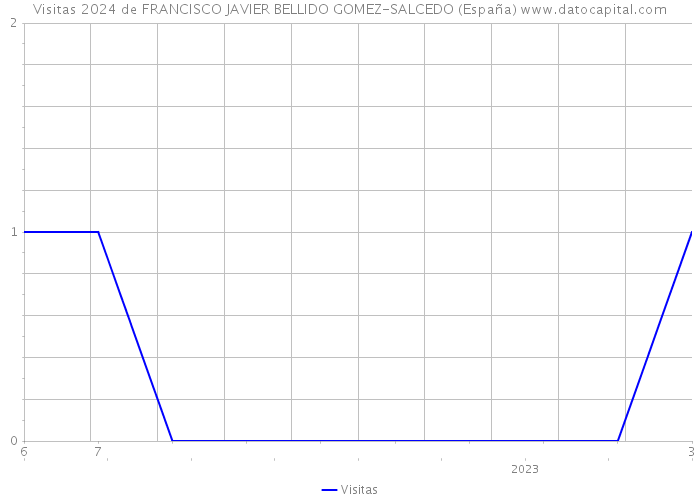 Visitas 2024 de FRANCISCO JAVIER BELLIDO GOMEZ-SALCEDO (España) 