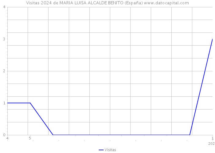 Visitas 2024 de MARIA LUISA ALCALDE BENITO (España) 