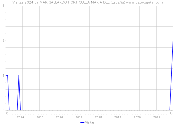 Visitas 2024 de MAR GALLARDO HORTIGUELA MARIA DEL (España) 