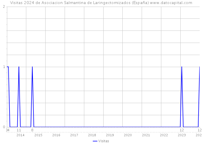 Visitas 2024 de Asociacion Salmantina de Laringectomizados (España) 