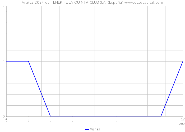 Visitas 2024 de TENERIFE LA QUINTA CLUB S.A. (España) 