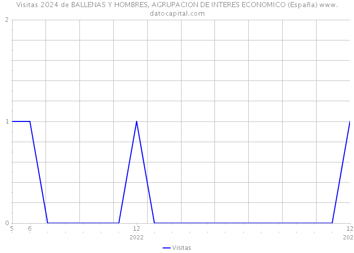 Visitas 2024 de BALLENAS Y HOMBRES, AGRUPACION DE INTERES ECONOMICO (España) 