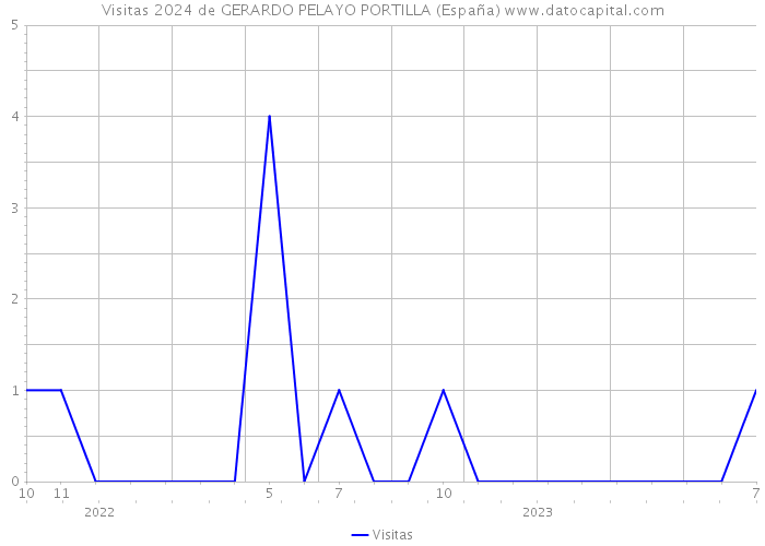 Visitas 2024 de GERARDO PELAYO PORTILLA (España) 