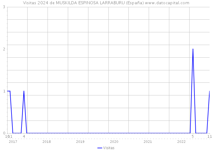 Visitas 2024 de MUSKILDA ESPINOSA LARRABURU (España) 