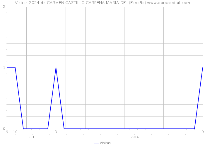 Visitas 2024 de CARMEN CASTILLO CARPENA MARIA DEL (España) 