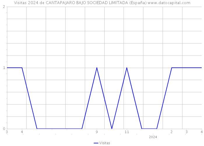 Visitas 2024 de CANTAPAJARO BAJO SOCIEDAD LIMITADA (España) 