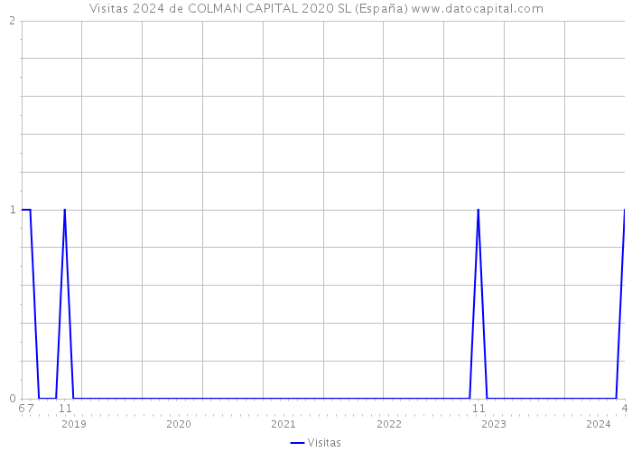 Visitas 2024 de COLMAN CAPITAL 2020 SL (España) 