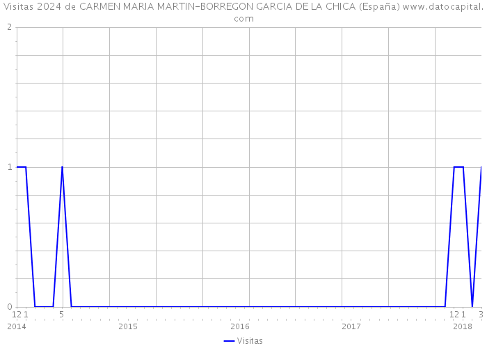 Visitas 2024 de CARMEN MARIA MARTIN-BORREGON GARCIA DE LA CHICA (España) 