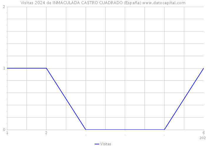 Visitas 2024 de INMACULADA CASTRO CUADRADO (España) 