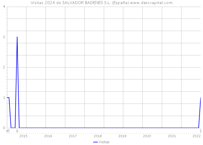 Visitas 2024 de SALVADOR BADENES S.L. (España) 