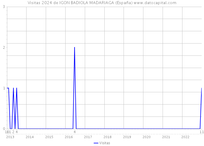Visitas 2024 de IGON BADIOLA MADARIAGA (España) 
