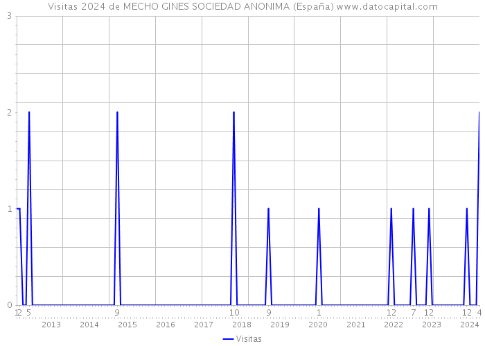 Visitas 2024 de MECHO GINES SOCIEDAD ANONIMA (España) 