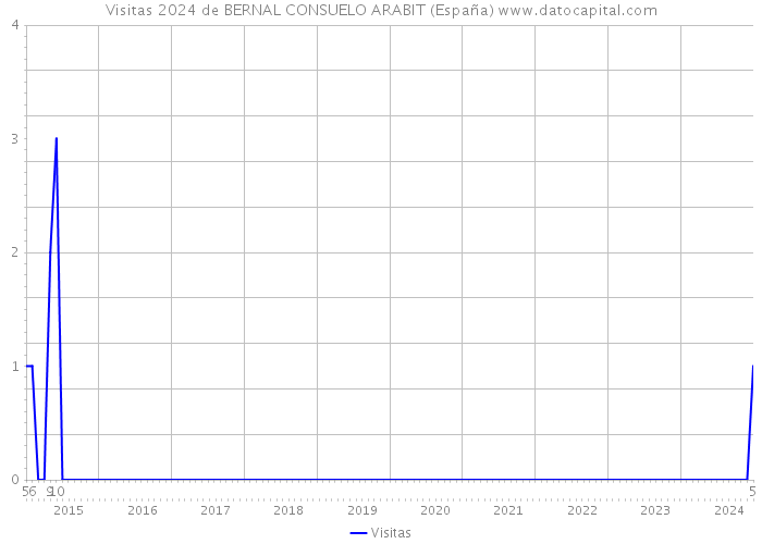 Visitas 2024 de BERNAL CONSUELO ARABIT (España) 