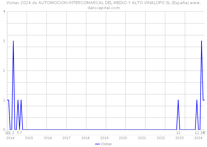 Visitas 2024 de AUTOMOCION INTERCOMARCAL DEL MEDIO Y ALTO VINALOPO SL (España) 