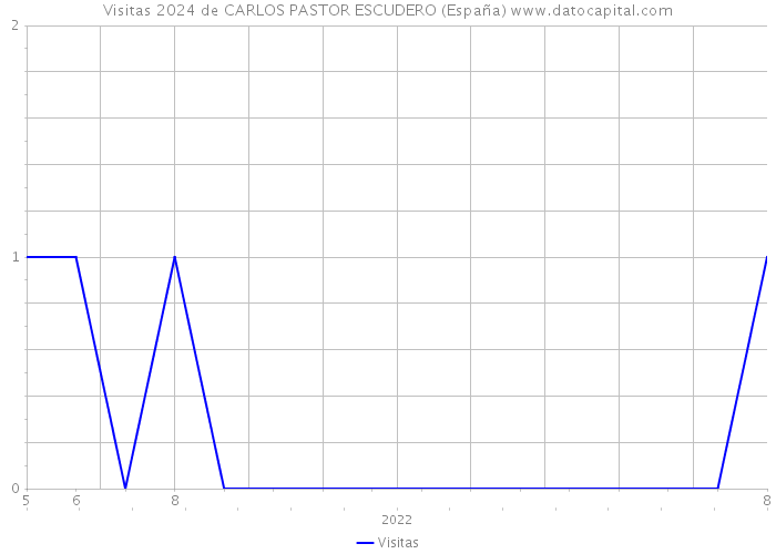 Visitas 2024 de CARLOS PASTOR ESCUDERO (España) 