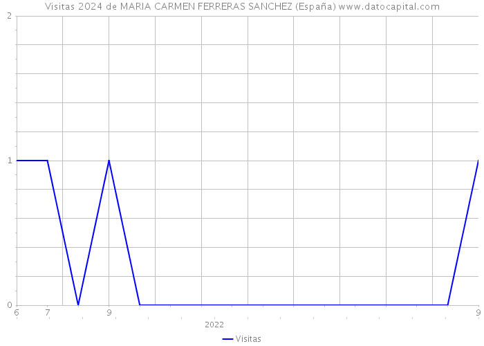 Visitas 2024 de MARIA CARMEN FERRERAS SANCHEZ (España) 