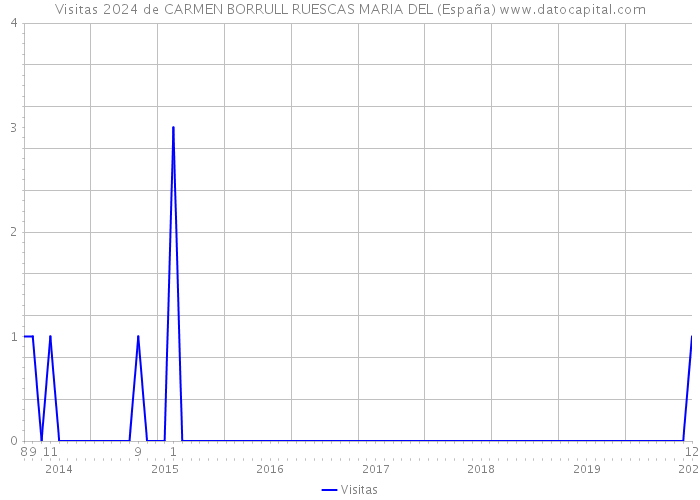 Visitas 2024 de CARMEN BORRULL RUESCAS MARIA DEL (España) 