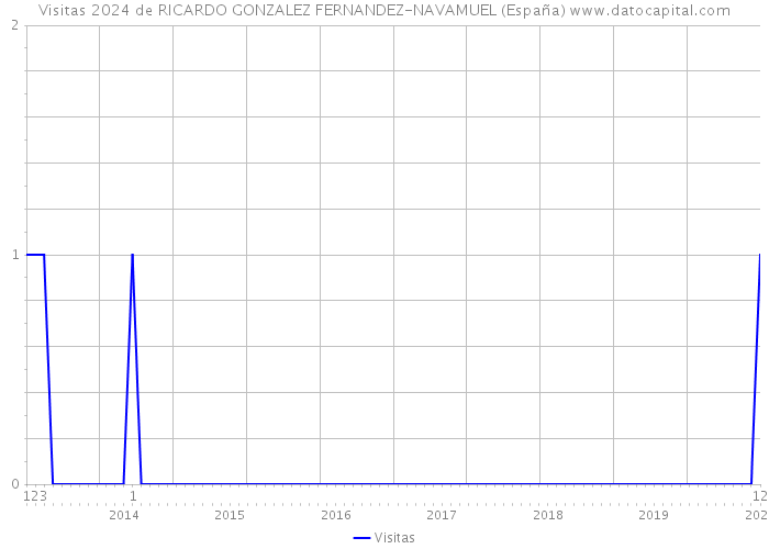 Visitas 2024 de RICARDO GONZALEZ FERNANDEZ-NAVAMUEL (España) 