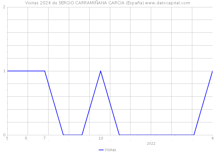 Visitas 2024 de SERGIO CARRAMIÑANA GARCIA (España) 