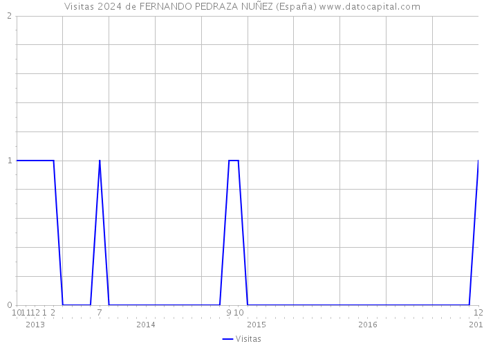 Visitas 2024 de FERNANDO PEDRAZA NUÑEZ (España) 