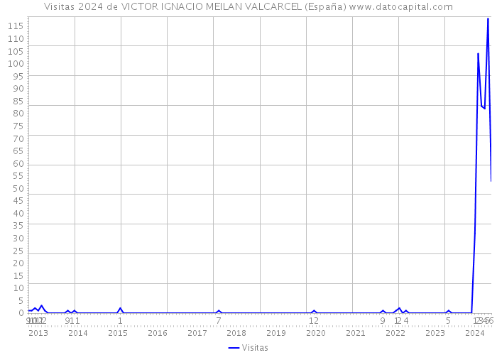 Visitas 2024 de VICTOR IGNACIO MEILAN VALCARCEL (España) 