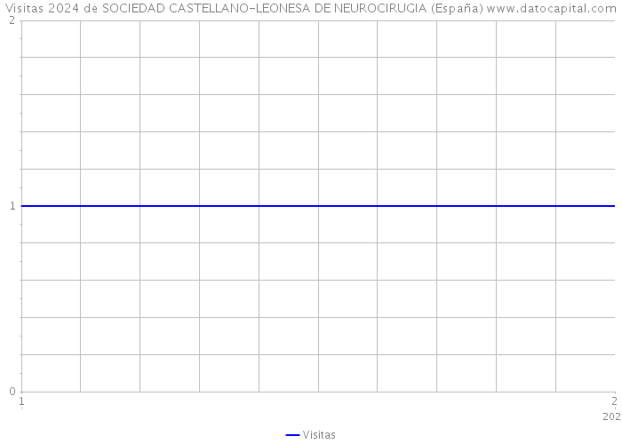 Visitas 2024 de SOCIEDAD CASTELLANO-LEONESA DE NEUROCIRUGIA (España) 