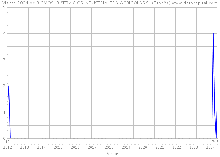 Visitas 2024 de RIGMOSUR SERVICIOS INDUSTRIALES Y AGRICOLAS SL (España) 